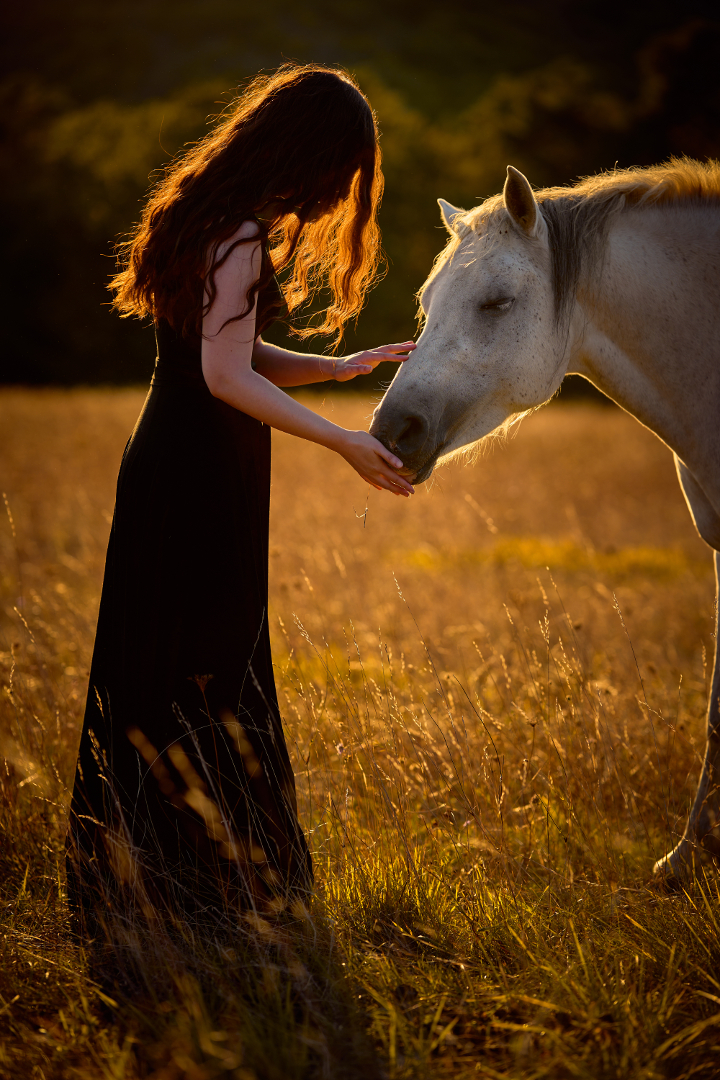 les-chevaux-de-valforet-7